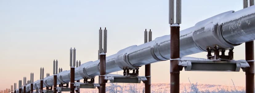 Petrochemical Training Courses